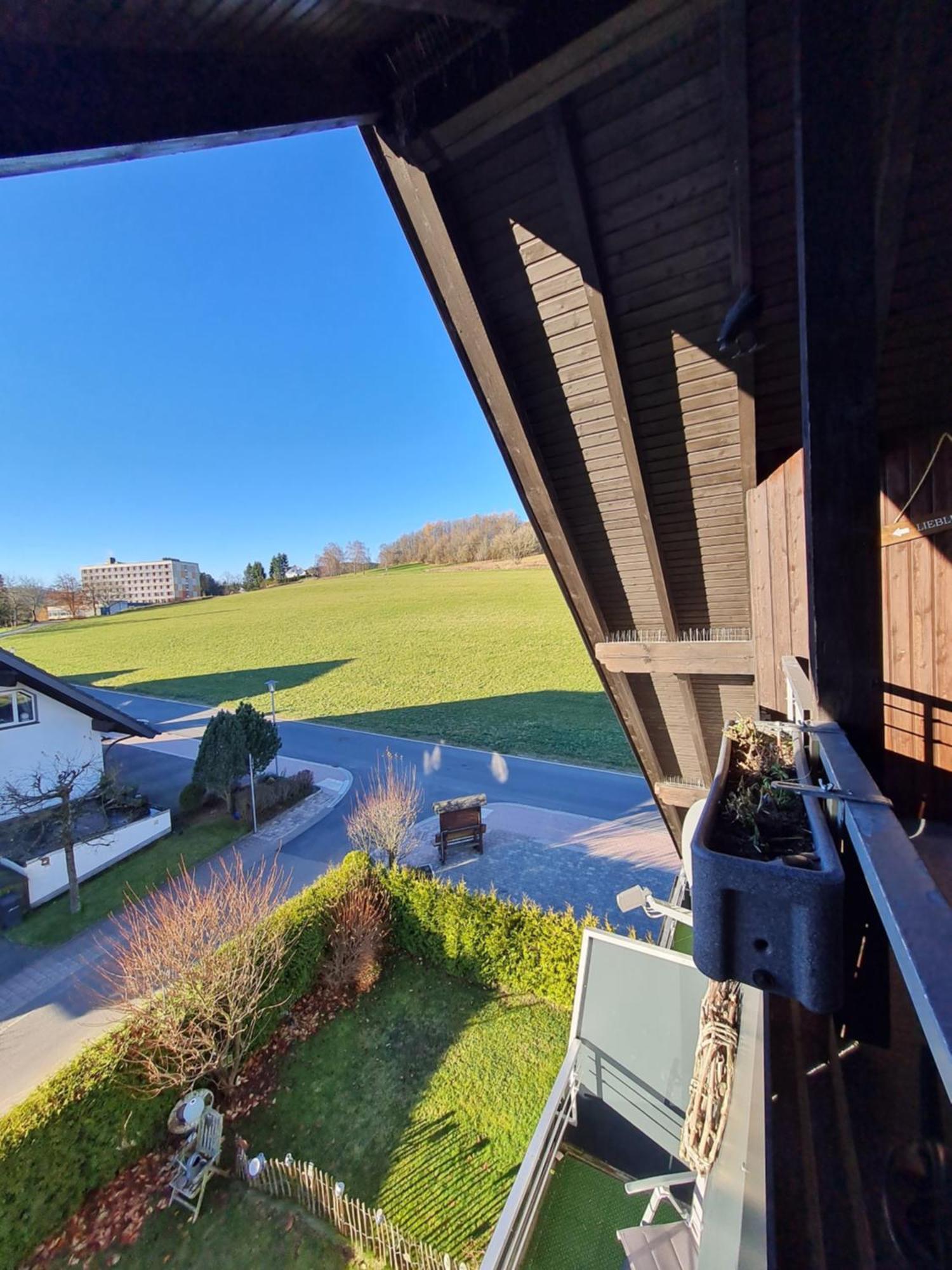 Ferienwohnungen Landhaus Meran Inkl Meinecardplus ヴィリンゲン エクステリア 写真